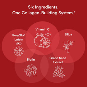 Purity Products Vegan Collagen Builder 68 g, emballage