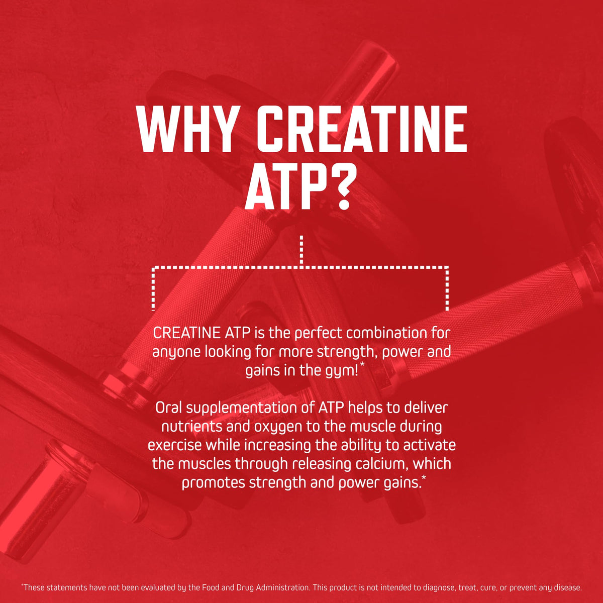 Purus Labs Creatine ATP 230g pot sur une table