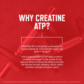Purus Labs Creatine ATP 230g pot sur une table