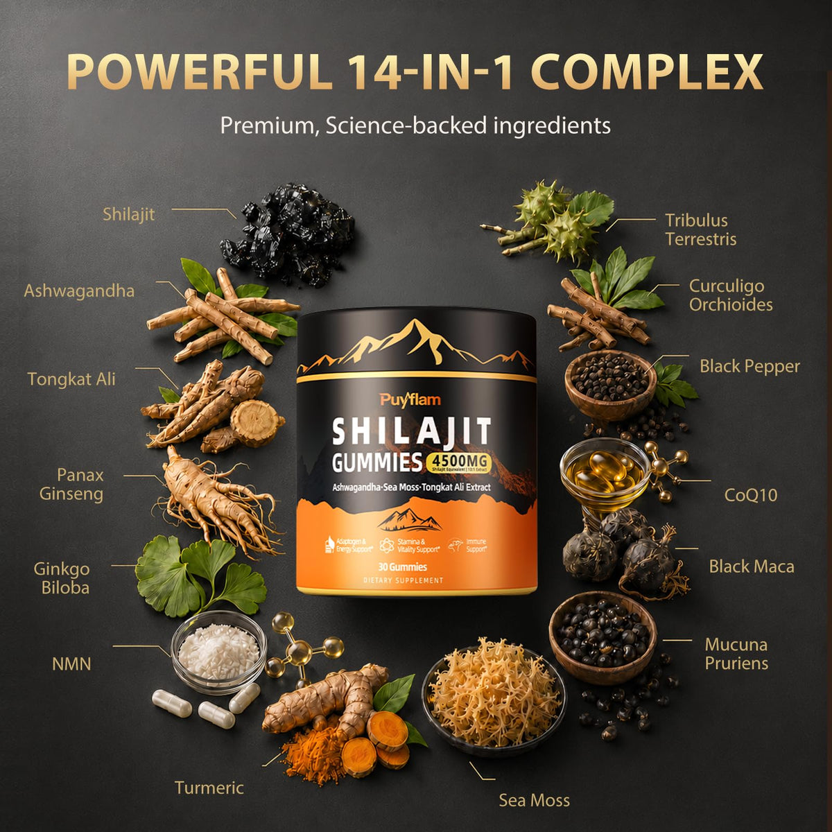Puyflam Gummies Shilajit 4500mg ingrédients principaux