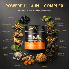 Puyflam Gummies Shilajit 4500mg ingrédients principaux