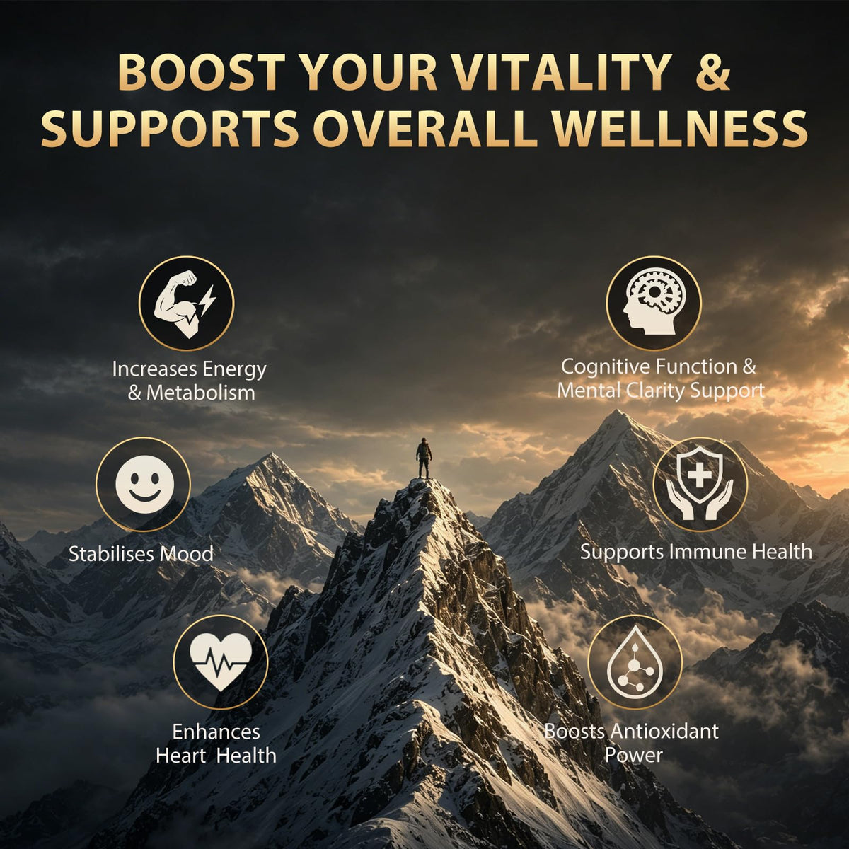 Puyflam Gummies Shilajit 4500mg vue de côté