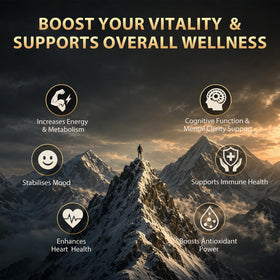 Puyflam Gummies Shilajit 4500mg vue de côté