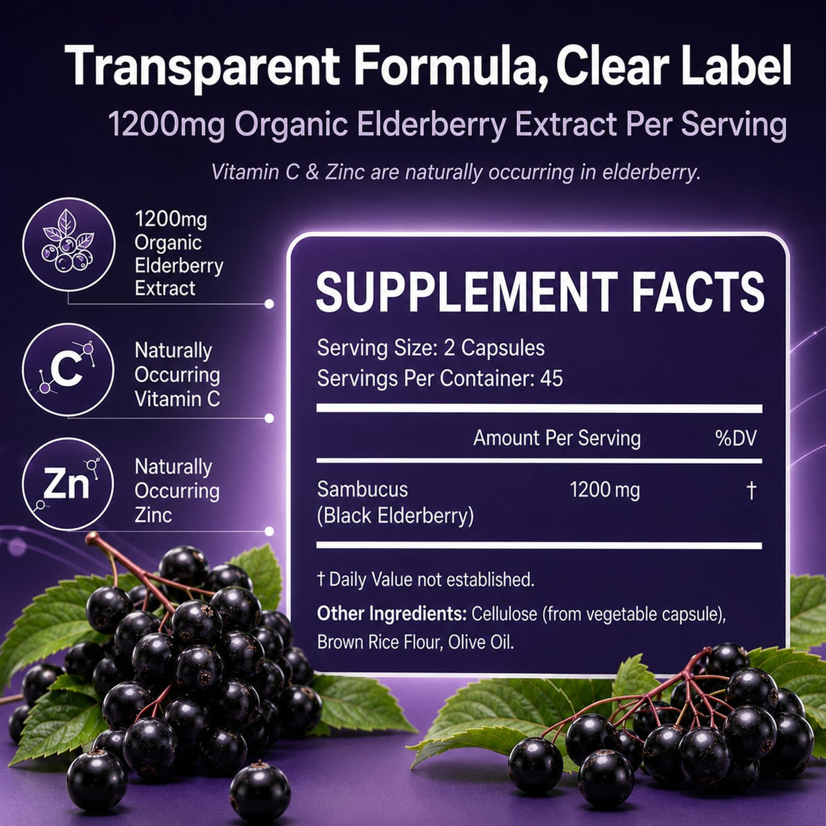 QLONU Elvera Complément Alimentaire 1200mg Extrait de Sureau, vue arrière
