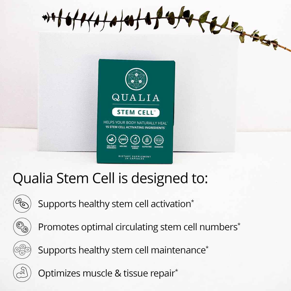 QUALIA Cellules Souches 30g - Boîte ouverte avec capsules