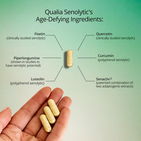 Qualia Senolytic 1400mg Fisetin capsule vue de près