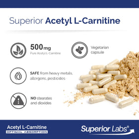 quality Labs Acetyl L-Carnitine 500 mg capsules in hand