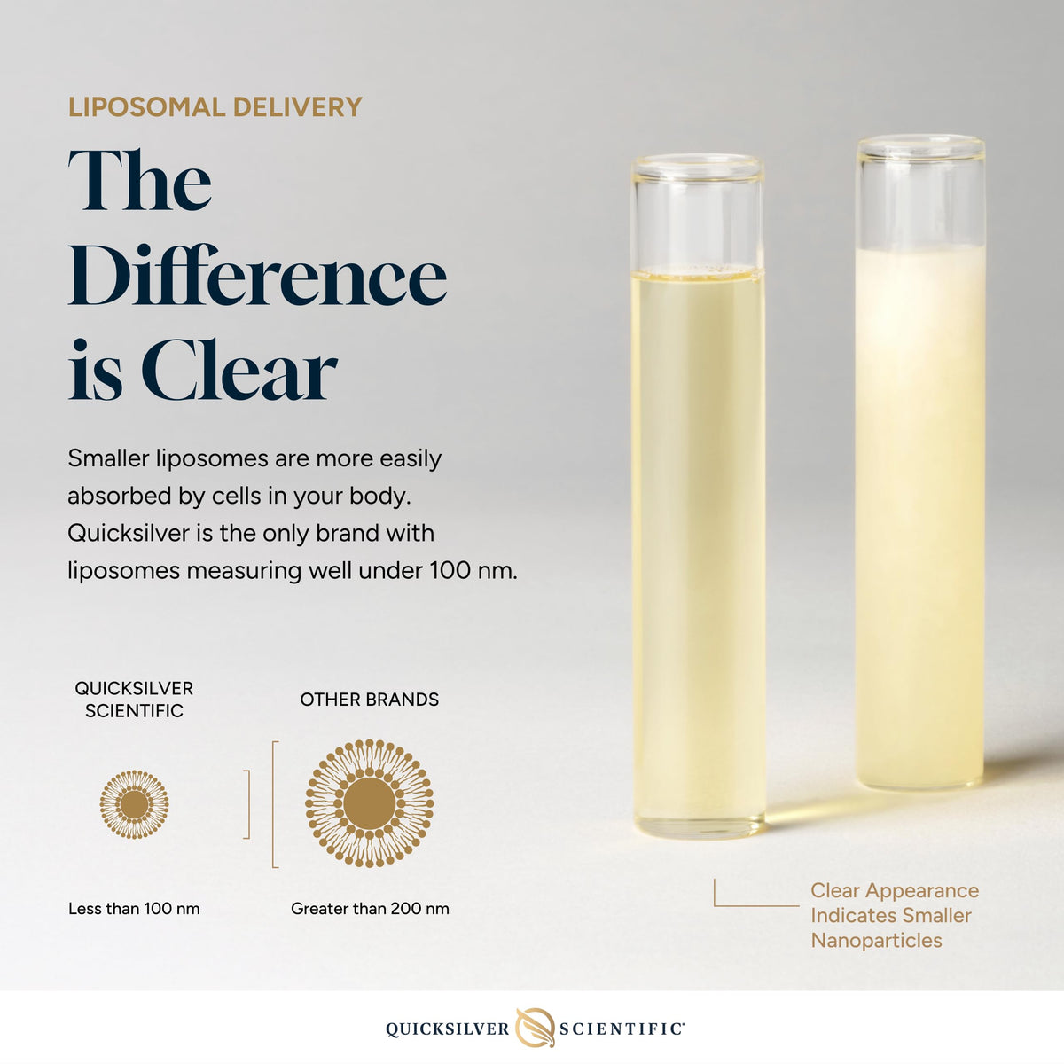 Quicksilver Scientific Liposomal Ultra Vitamin 100ml vue de dos