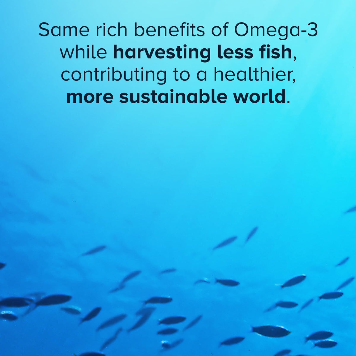 Qunol Omega-3 Complex Huile de Krill et de Poisson 250mg environnement naturel