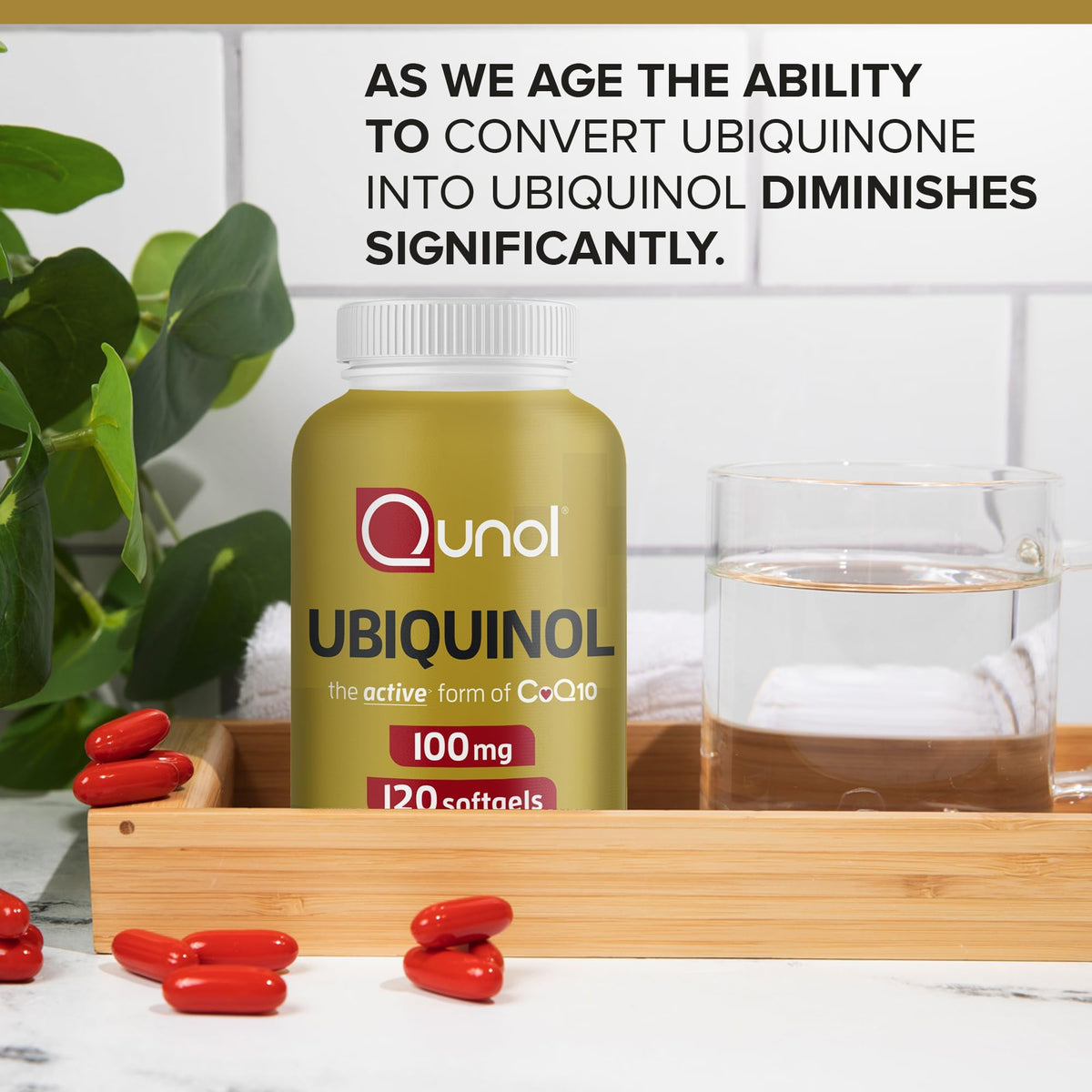 Qunol Ubiquinol 100mg boîte arrière vue avec instructions