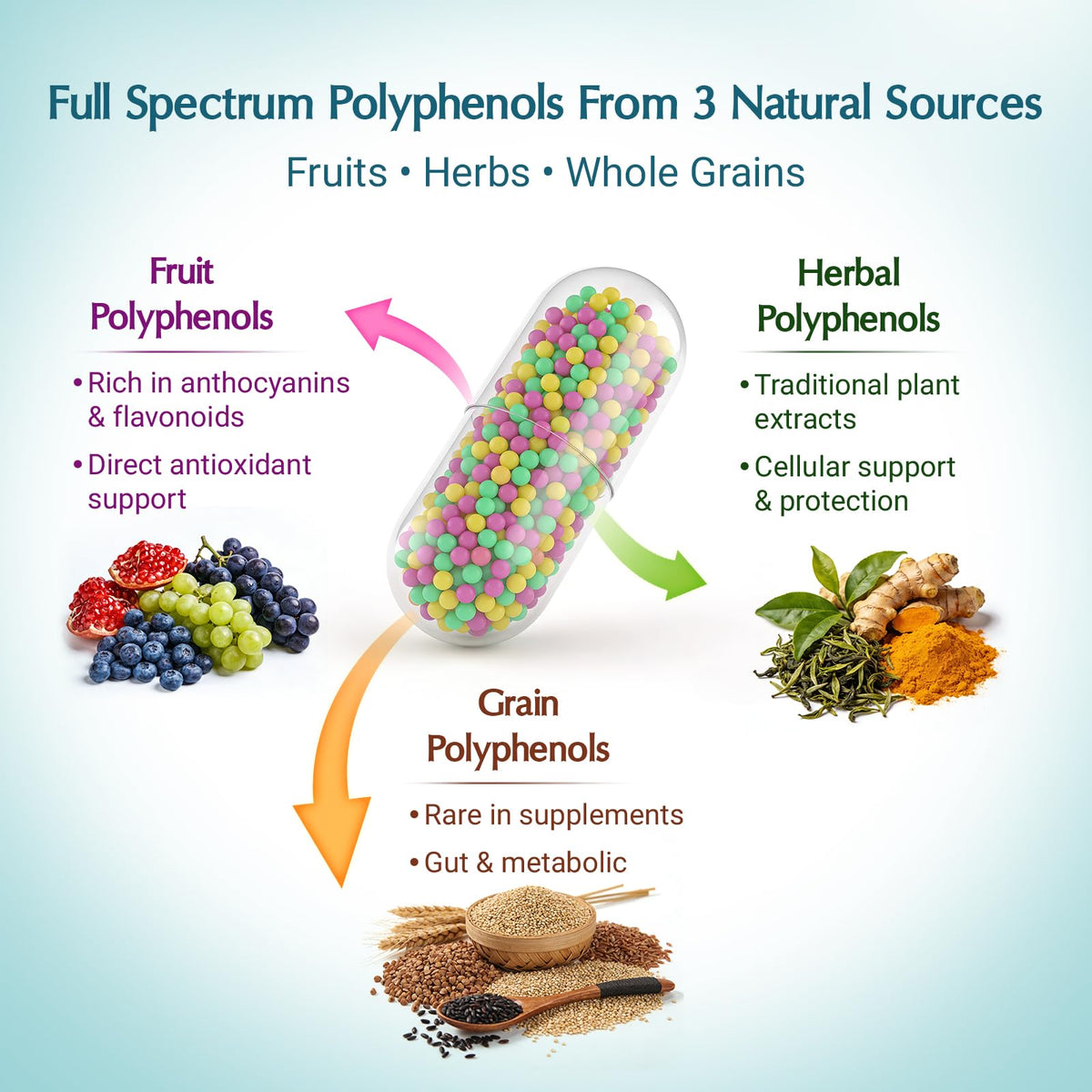 Quorinthiumax polyphénols 1500mg capsules en gros plan