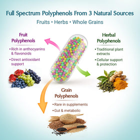 Quorinthiumax polyphénols 1500mg capsules en gros plan