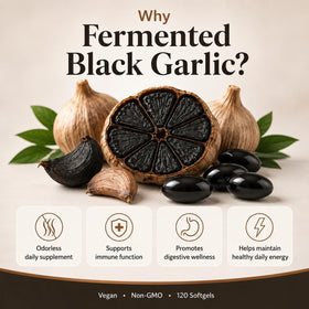 QVG Complément Alimentaire Ail Noir Fermenté gélules sur fond blanc