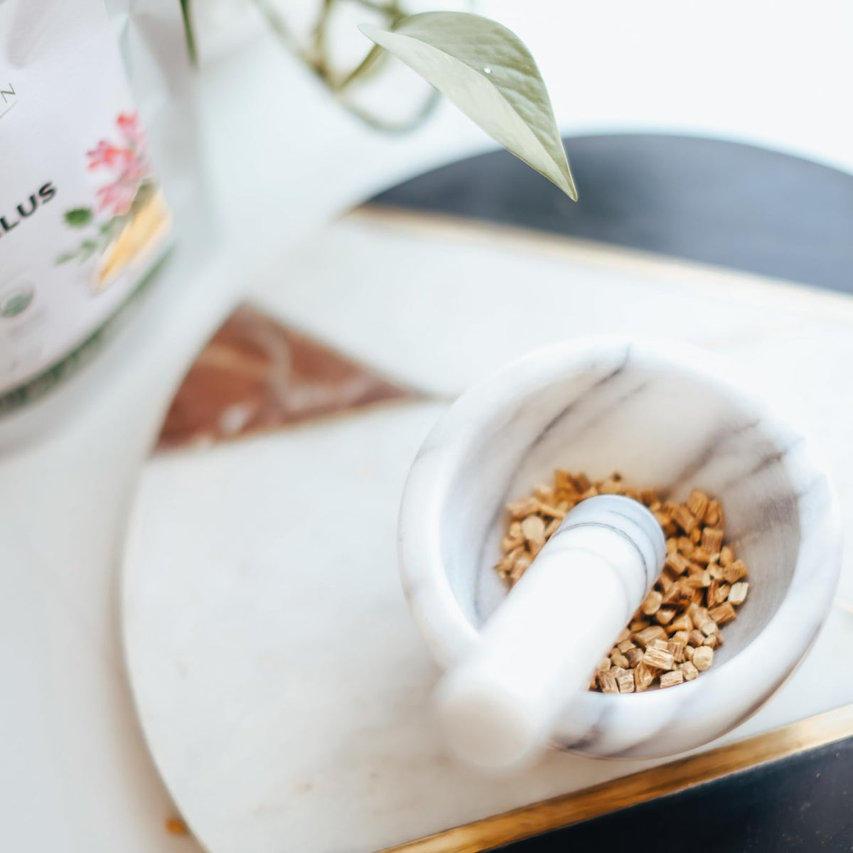 Racine d'astragale bio Elanen Naturals sur fond blanc