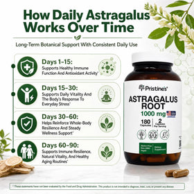 Racine d'astragale PRISTINE'S avec capsules à côté