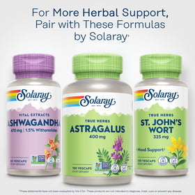 Racine d'Astragale SOLARAY 400mg avec des plantes en arrière-plan