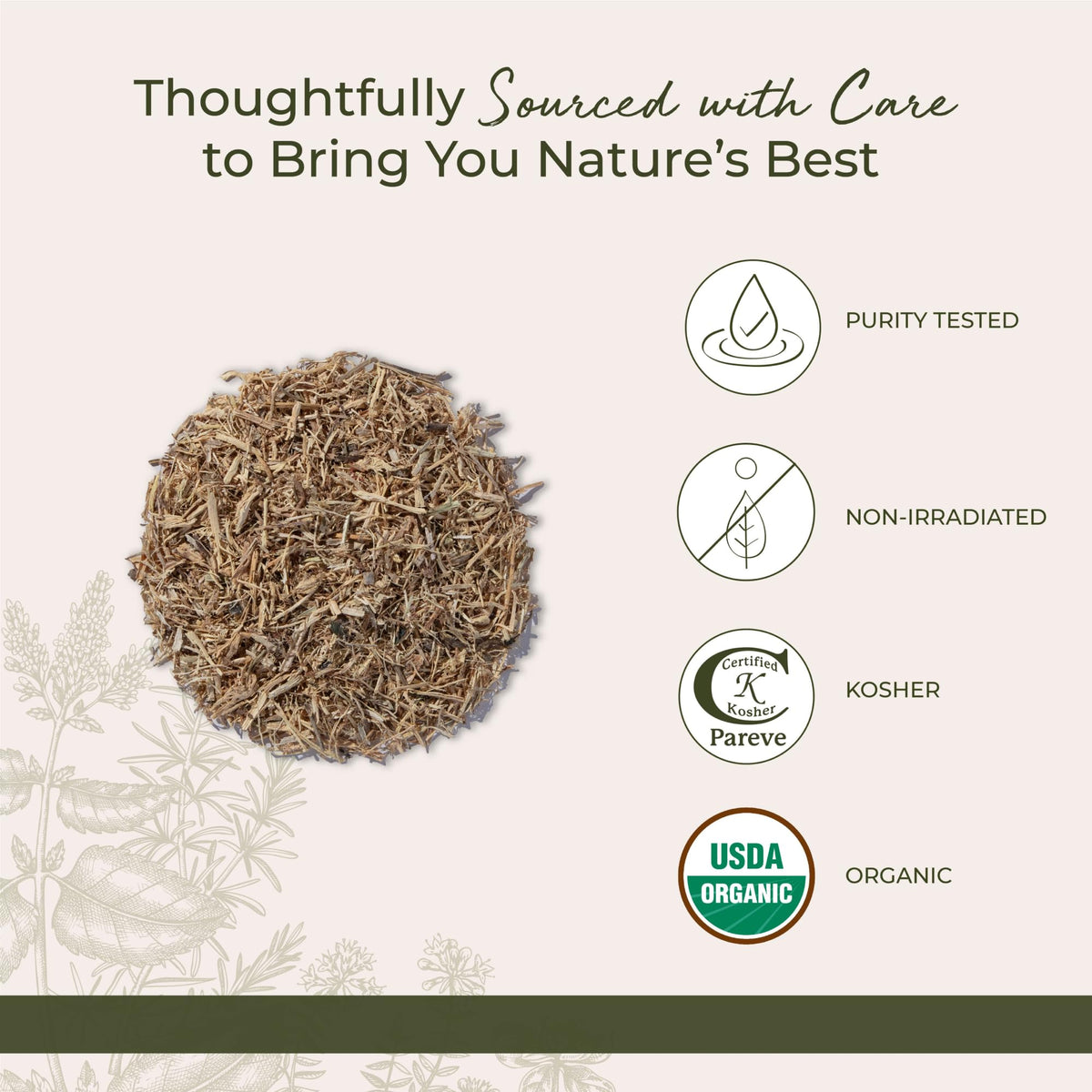 Racine d'ortie bio Starwest Botanicals en poudre sur une cuillère