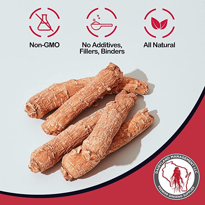 Racine de ginseng Panax rouge dans une soupière