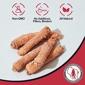 Racine de ginseng Panax rouge dans une soupière