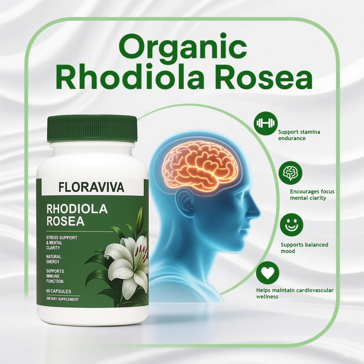 Racine de Rhodiola Rosea à côté des capsules NO BALD