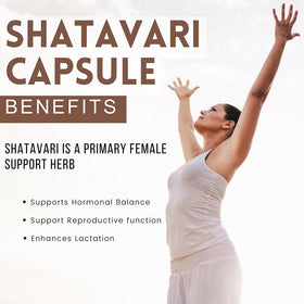 Racine de Shatavari à côté des capsules Hebhac Herbs