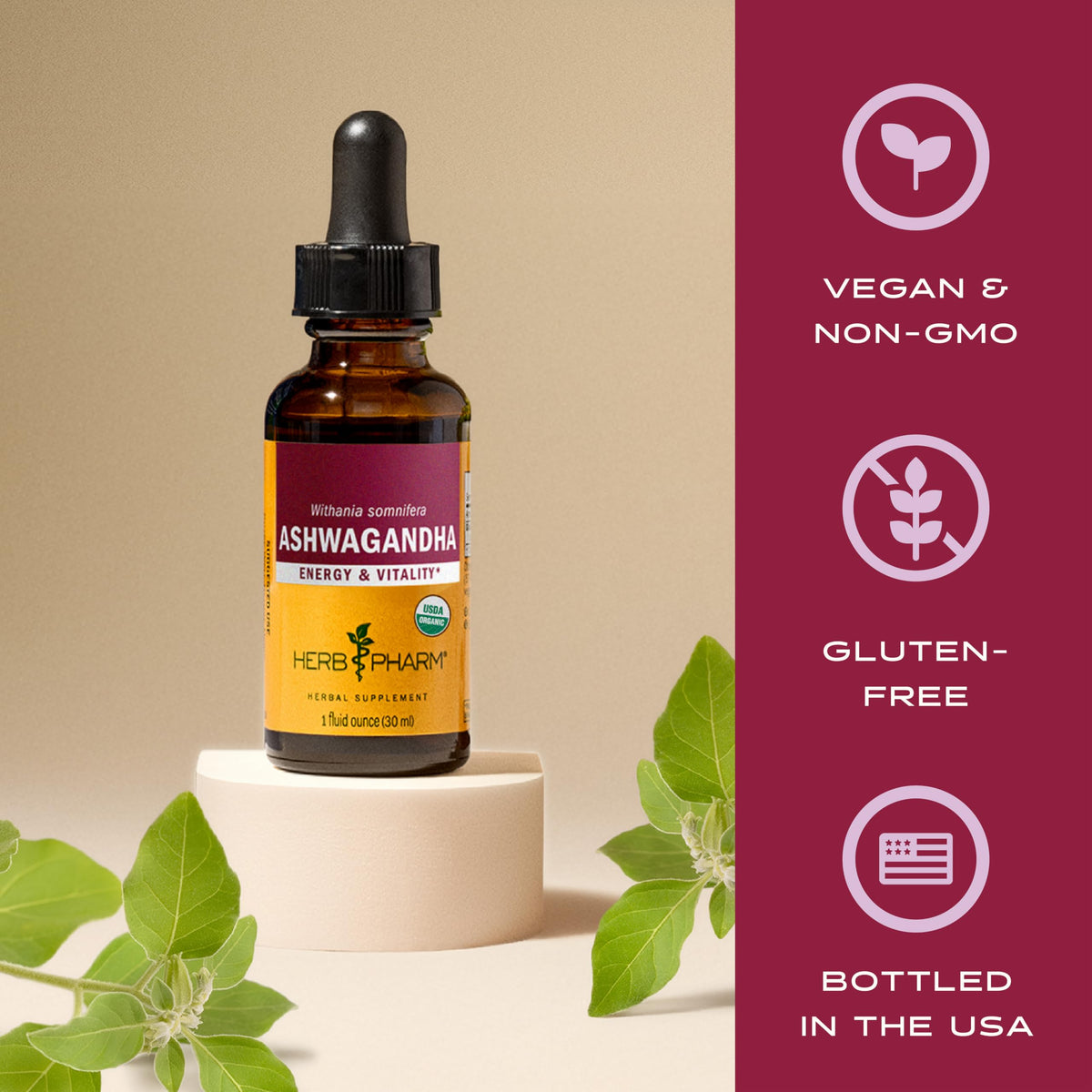 Racines d'Ashwagandha utilisées pour l'extrait Herb Pharm