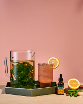 Racines d'échinacée bio utilisées pour l'extrait Herb Pharm