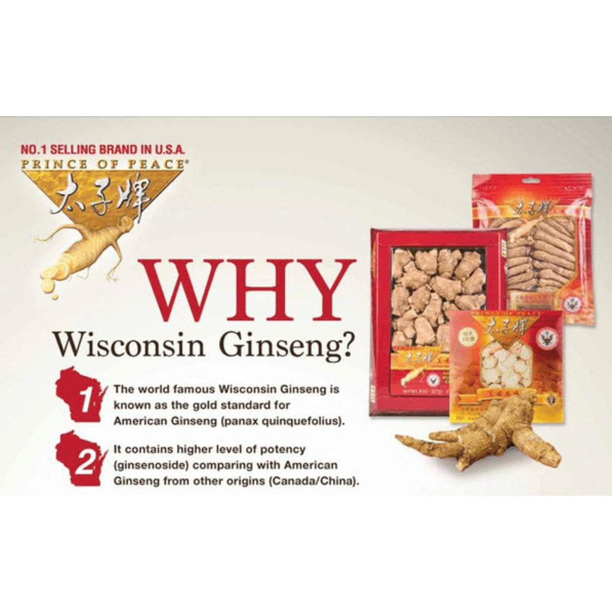 Racines de ginseng Wisconsin dans une tasse de thé
