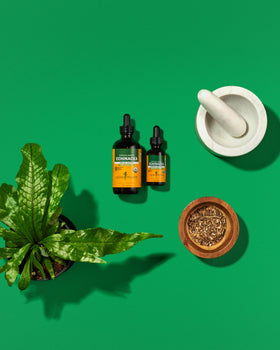 Racines fraîches d'échinacée utilisées pour l'extrait Herb Pharm