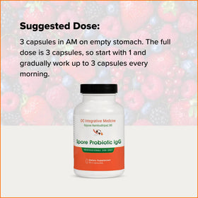 Rajsree Spore Probiotic IgG capsules en gros plan