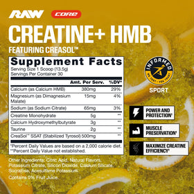 RAW Creatine Plus HMB 499g vue arrière avec informations nutritionnelles