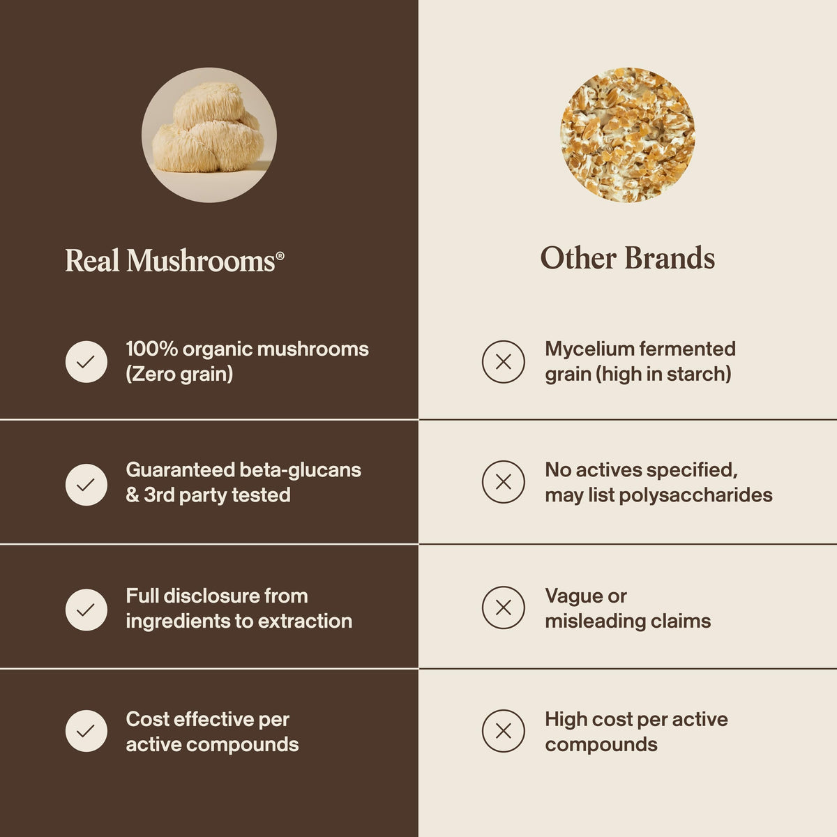 Real Mushrooms Complément Alimentaire Champignon Crinière de Lion 68g, vue de près