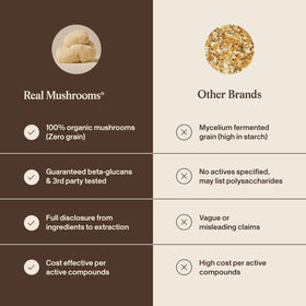 Real Mushrooms Complément Alimentaire Champignon Crinière de Lion 68g, vue de près