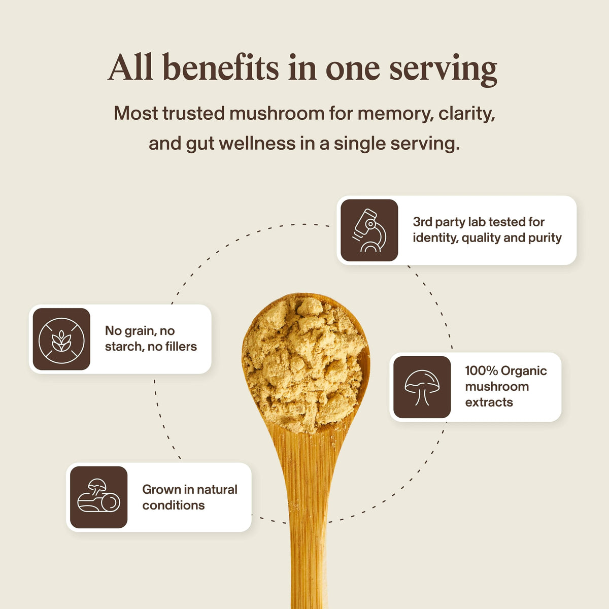Real Mushrooms Complément Alimentaire Champignon Crinière de Lion 68g, utilisation quotidienne