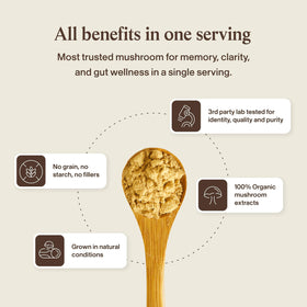 Real Mushrooms Complément Alimentaire Champignon Crinière de Lion 68g, utilisation quotidienne