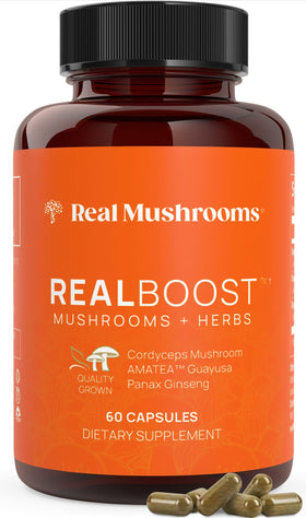 Real Mushrooms Compléments Alimentaires Cordyceps boîte avec 60 capsules