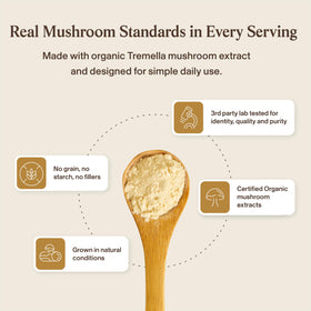 Real Mushrooms Poudre de Champignon Tremella avec ingrédients bio
