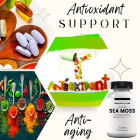 Recherche Labs Mousse de Mer Capsules - Présentation sur une table