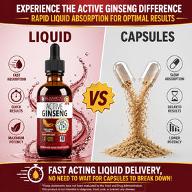 Rejuvica Health Active Ginseng 499g avec d'autres compléments