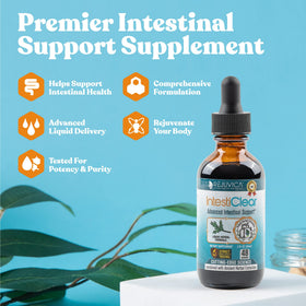 Rejuvica Health IntestiClear étiquette avec ingrédients et dosage