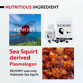 REMORY Complément Alimentaire Plasmalogène 40g - prise quotidienne
