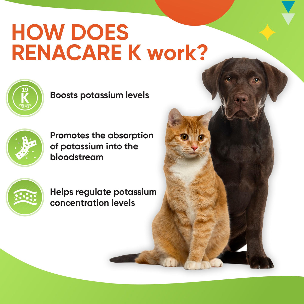 RenaCare K en poudre au goût de foie de poulet