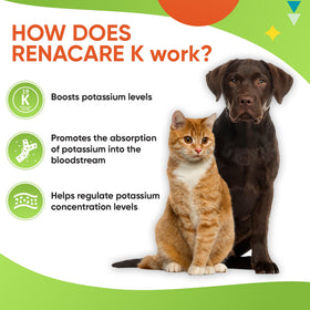 RenaCare K en poudre au goût de foie de poulet