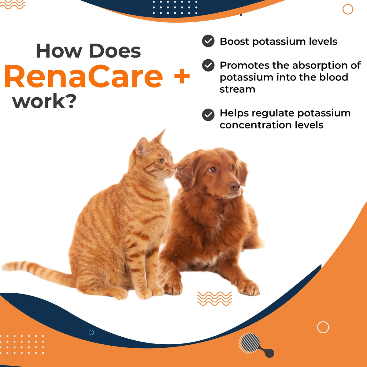 Renacare K Gel Potassium Gluconate 10 oz avec cuillère