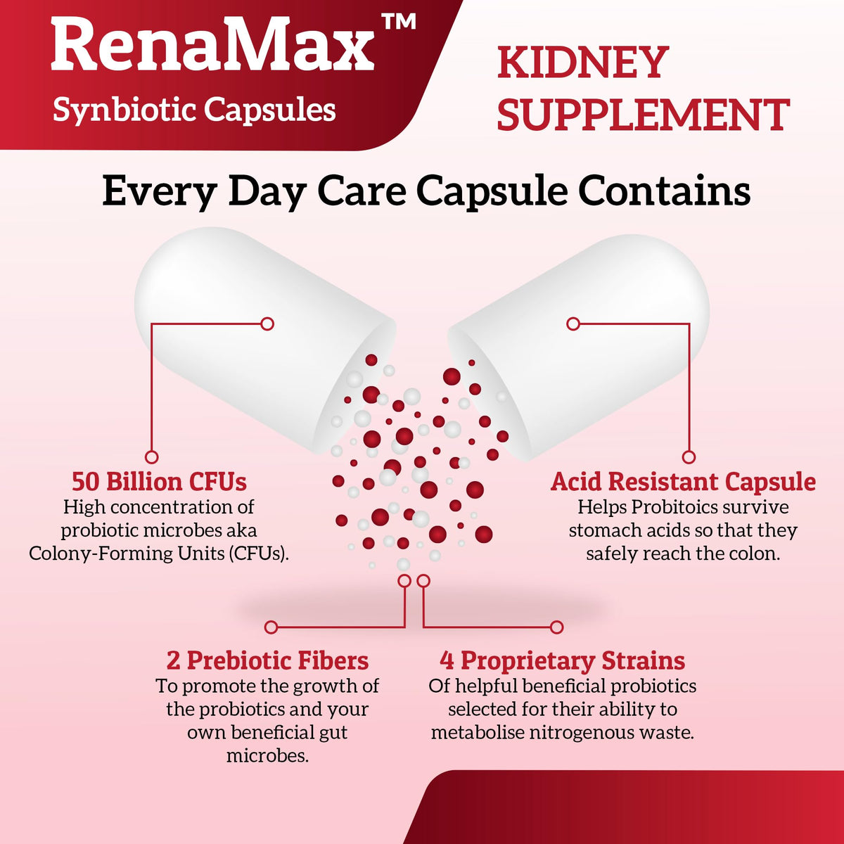 RENAMAX Complément Alimentaire RenaMax 90 Capsules avec fond blanc