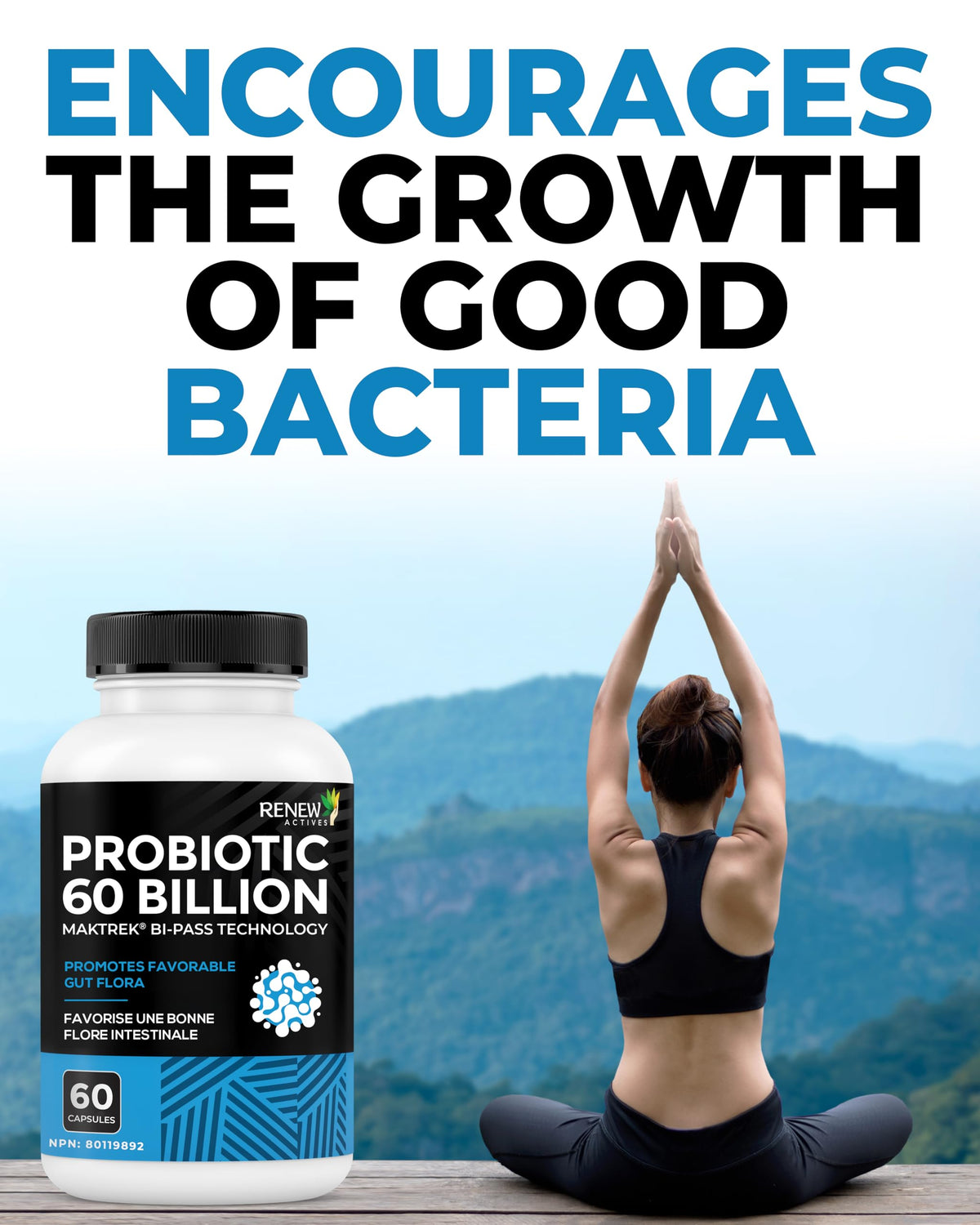 Renew Actives complément probiotique 60 capsules avec étiquette
