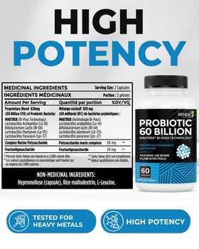 Renew Actives complément probiotique 60 capsules en vue aérienne
