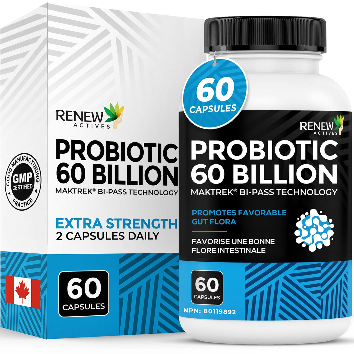 Renew Actives complément probiotique 60 milliards CFU 60 capsules vue de face