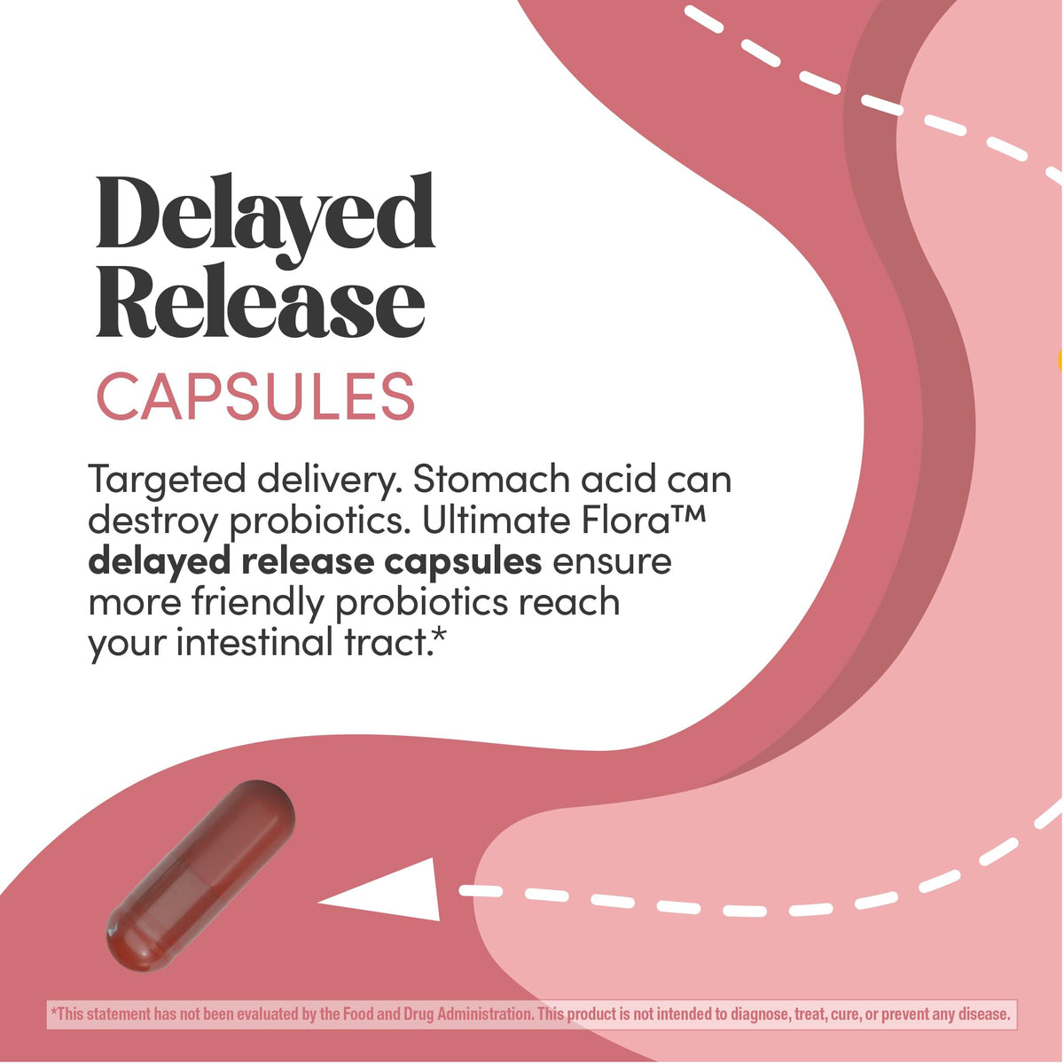Renew Life Probiotiques Vaginal 6 Milliards CFU 50g - utilisation quotidienne