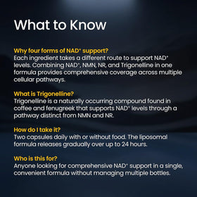 Renue By Science LIPO NAD⁺ Complete ingredients list